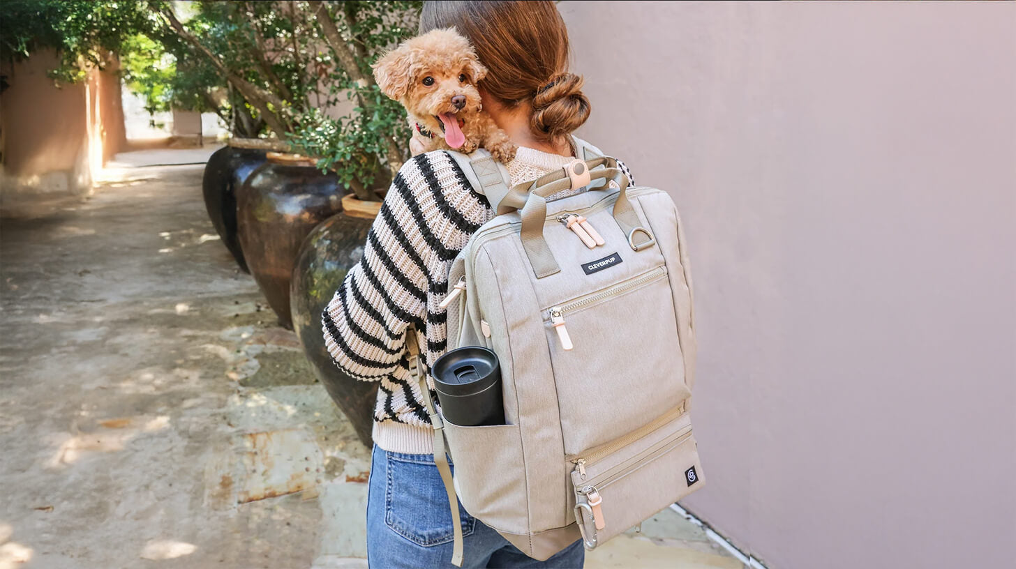 The Rise of Dog-Inspired Fashion: A Growing Trend Among Pet Owners