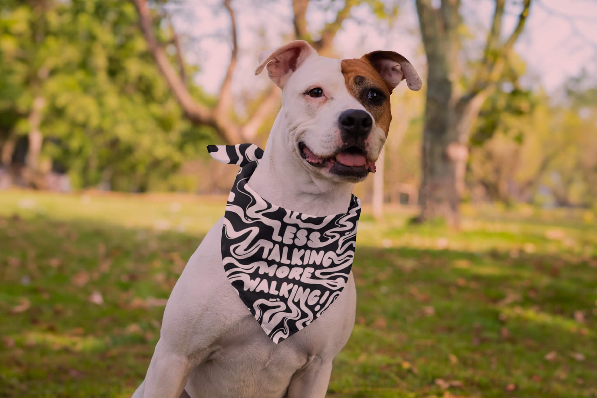 Dog Bandanas