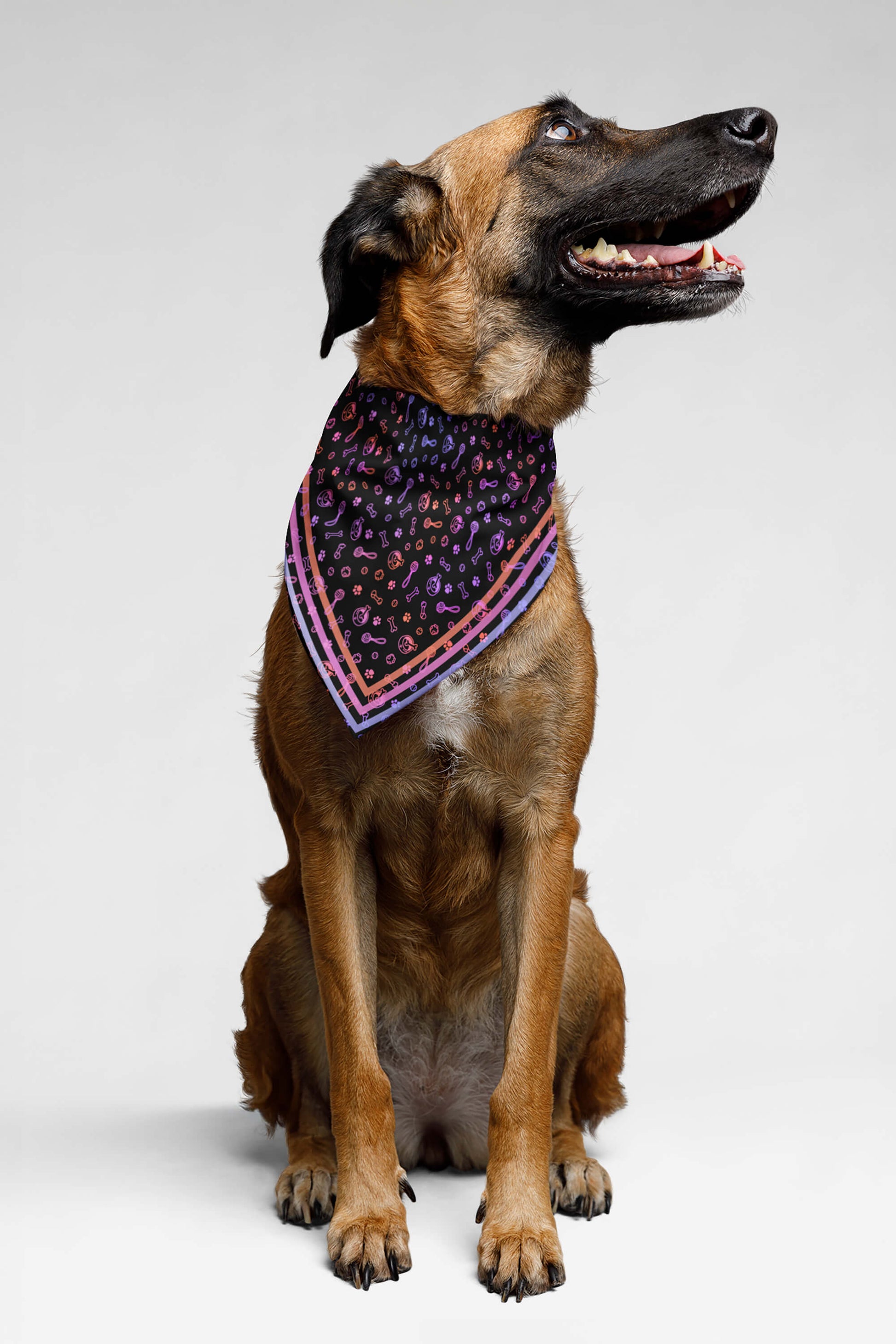 Playful Neon Pet Bandana - Dogloverclothing.com