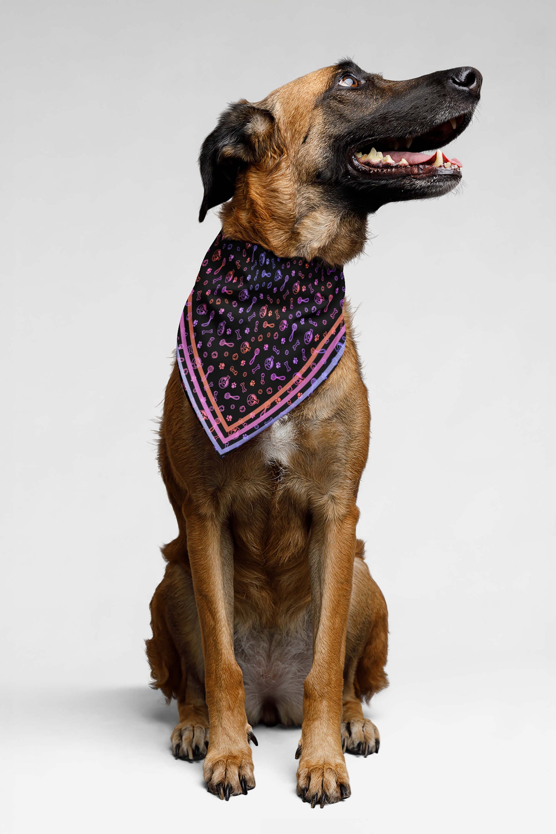 Playful Neon Pet Bandana