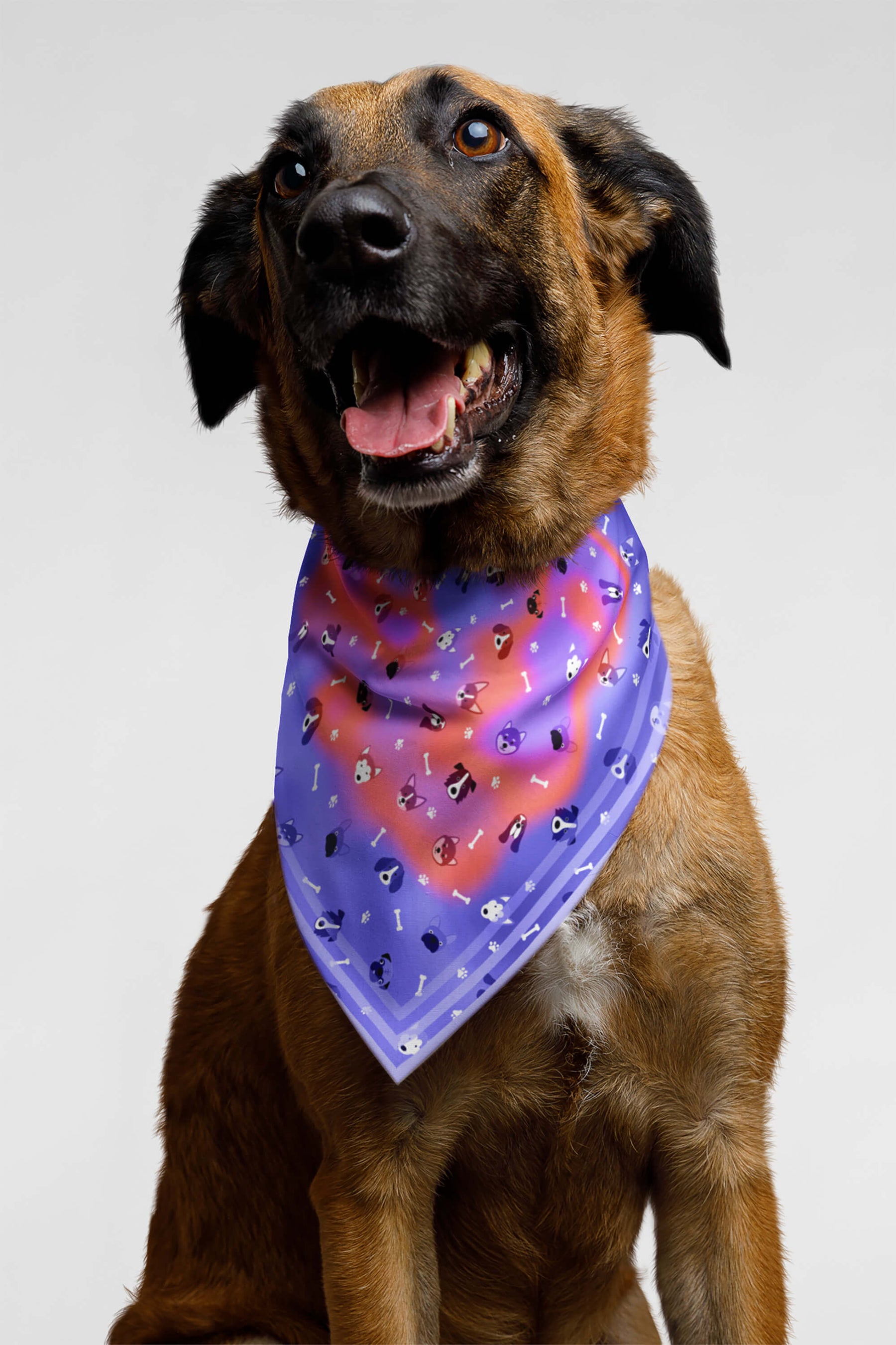 Cosmic Dogs Pet Bandana