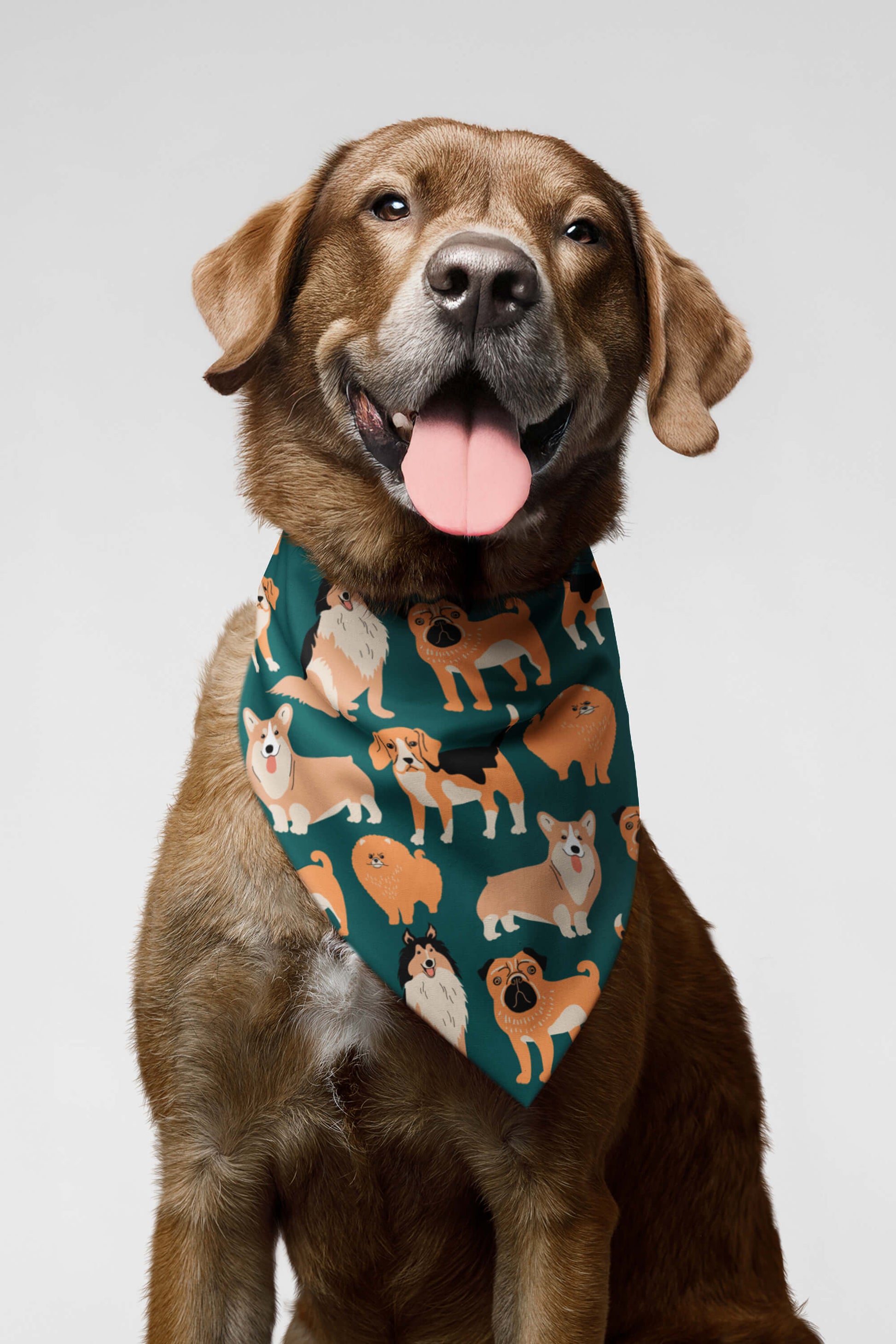 Ultimate Dog Parade Pet Bandana - Dogloverclothing.com