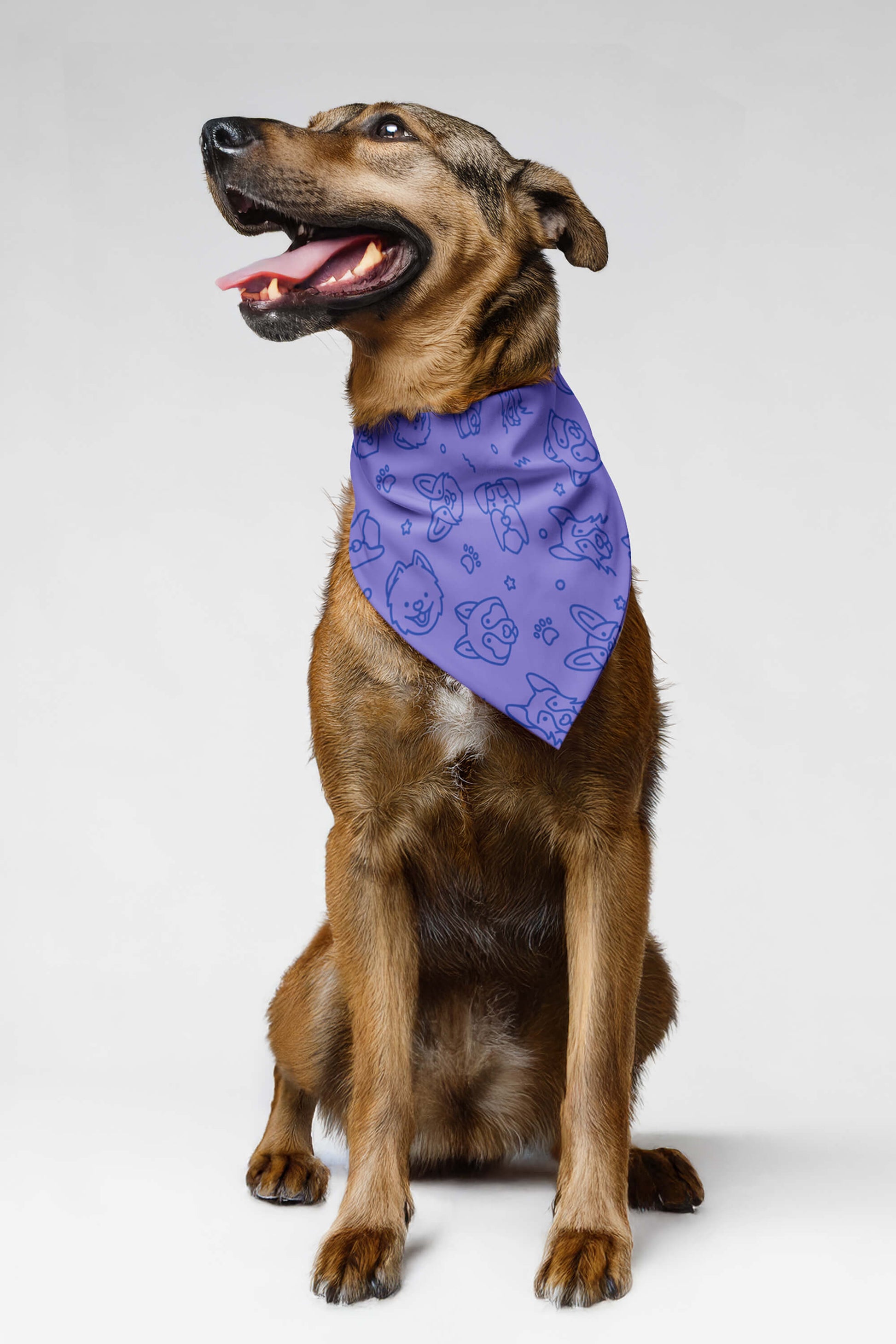 Lavender Dog Art Pet Bandana - Dogloverclothing.com