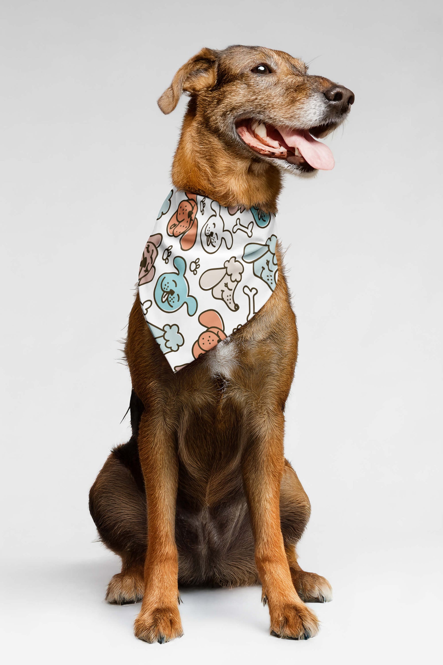 Dog Cuties Pet Bandana