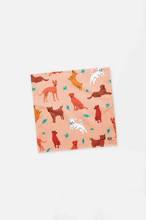 Autumn Dog Squad Pet Bandana