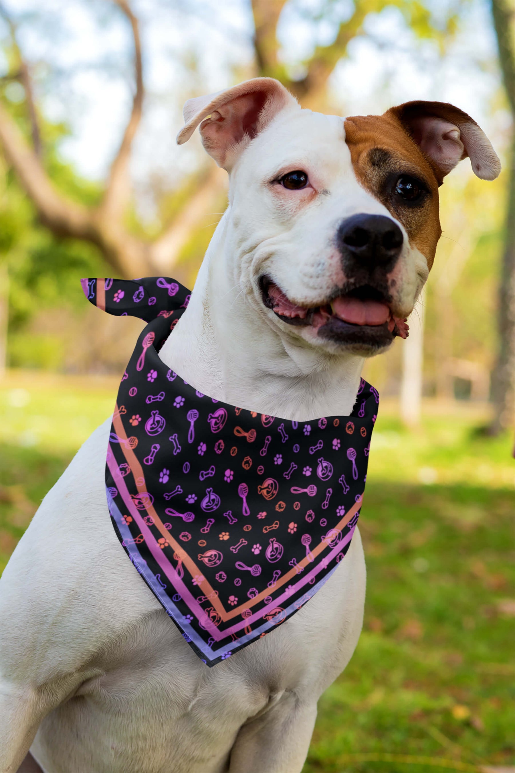 Playful Neon Pet Bandana