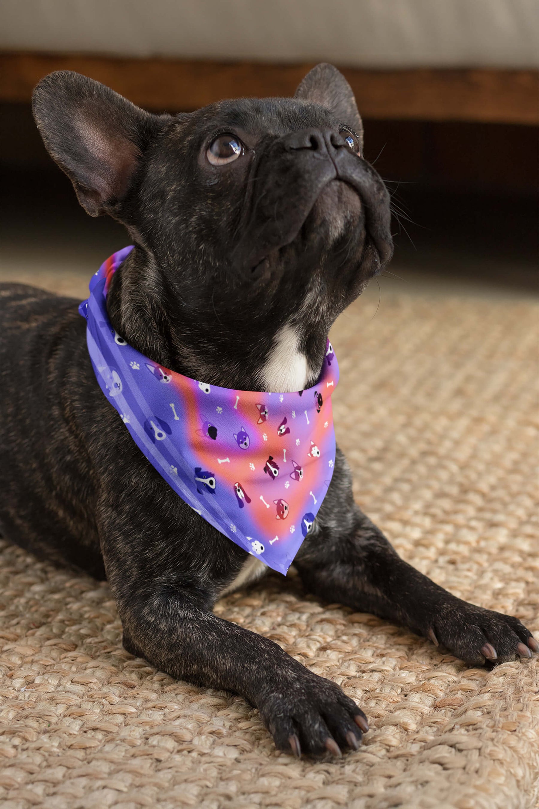 Cosmic Dogs Pet Bandana