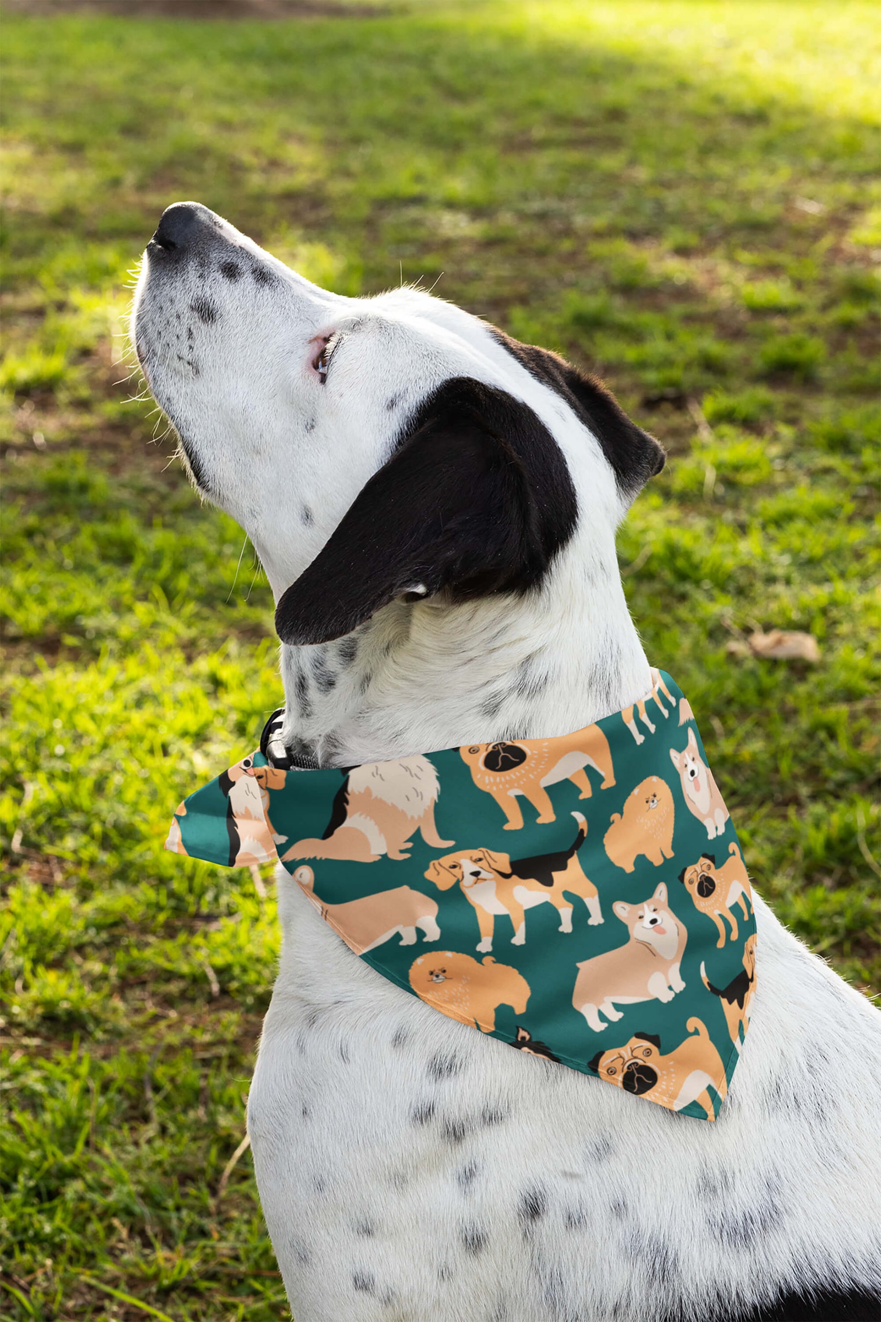 Ultimate Dog Parade Pet Bandana