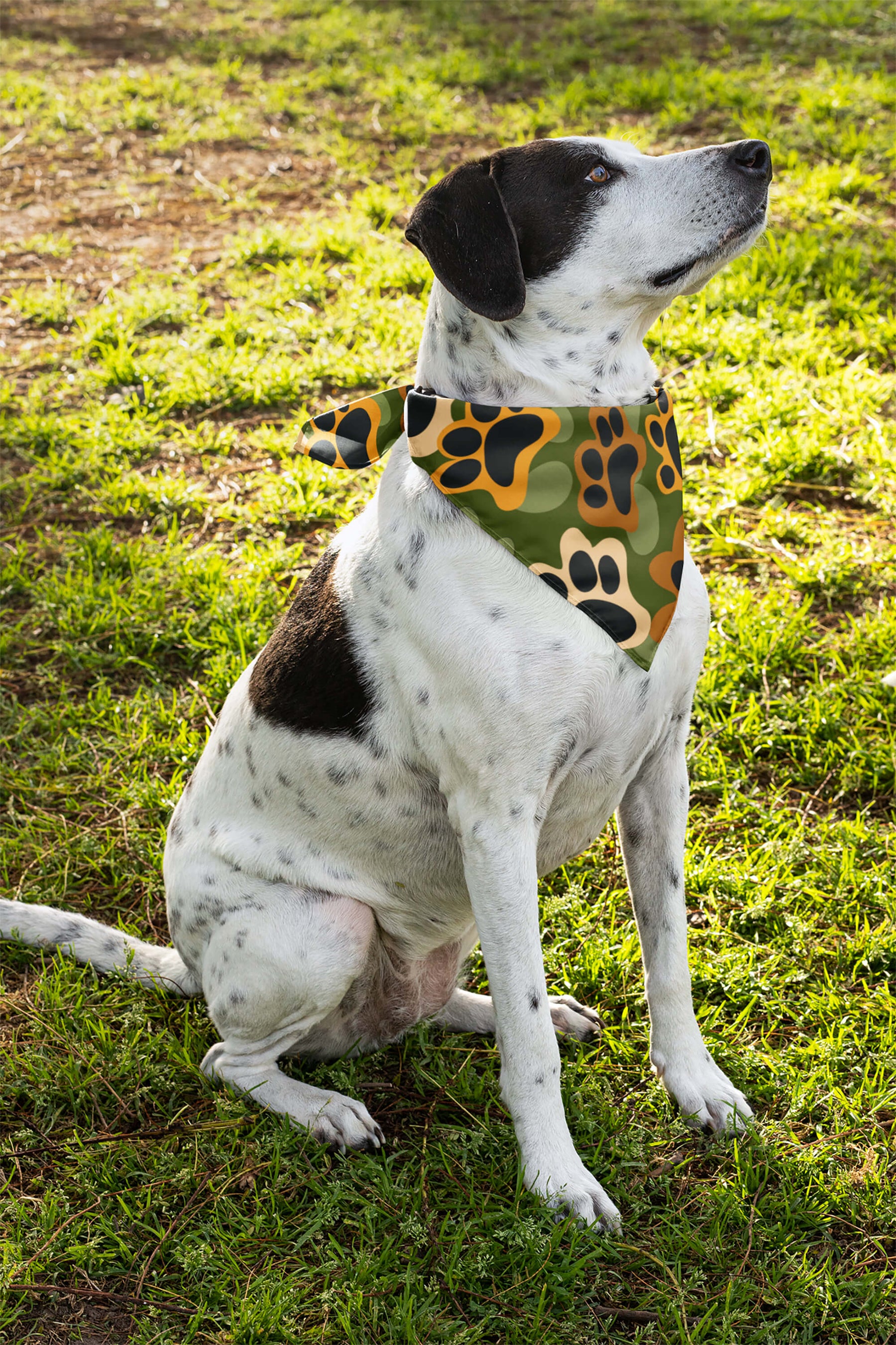 Camo Dog Pet Bandana